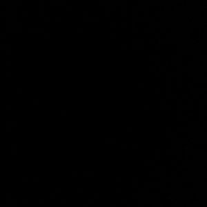 Meet your Posher, Ali